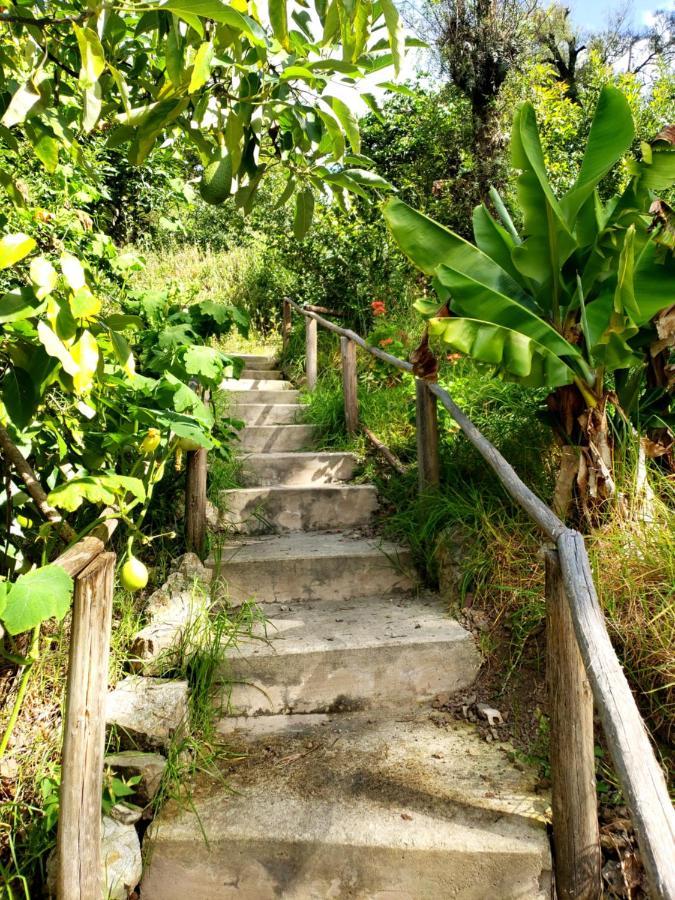 Fundo Wilppani Villa Limatambo Buitenkant foto